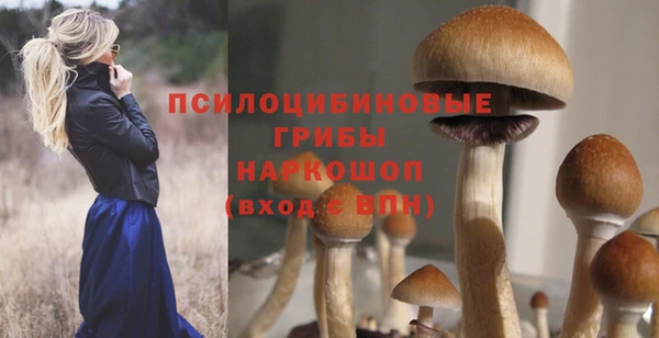 амф Рославль